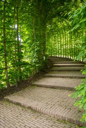 Alnwick Garden, Beech Steps